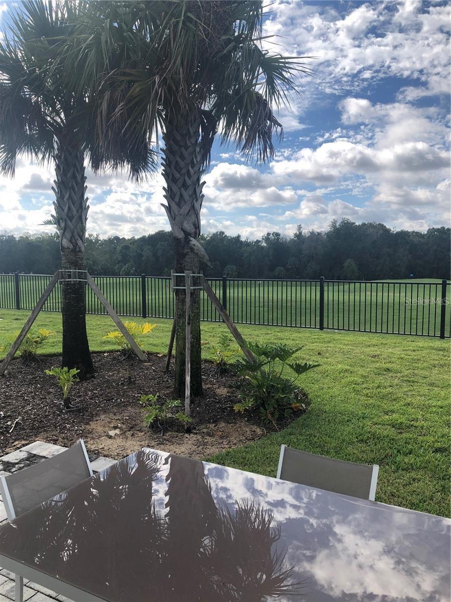 820 DRIVING RANGE CT, REUNION, FL, 34747
