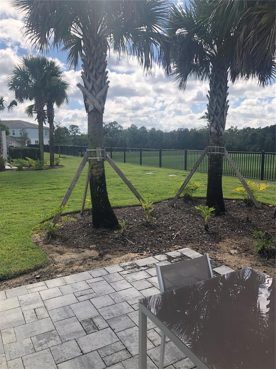 820 DRIVING RANGE CT, REUNION, FL, 34747