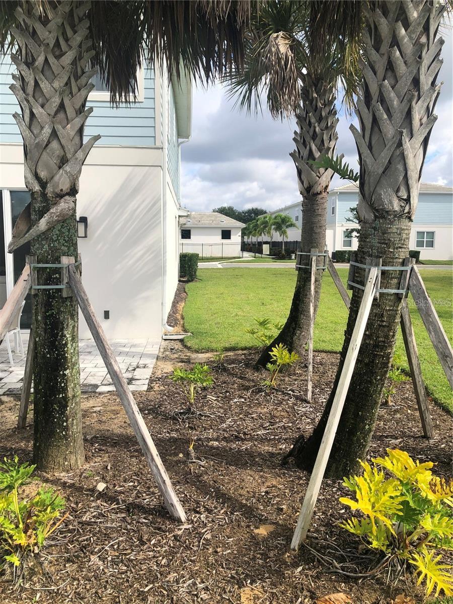 820 DRIVING RANGE CT, REUNION, FL, 34747