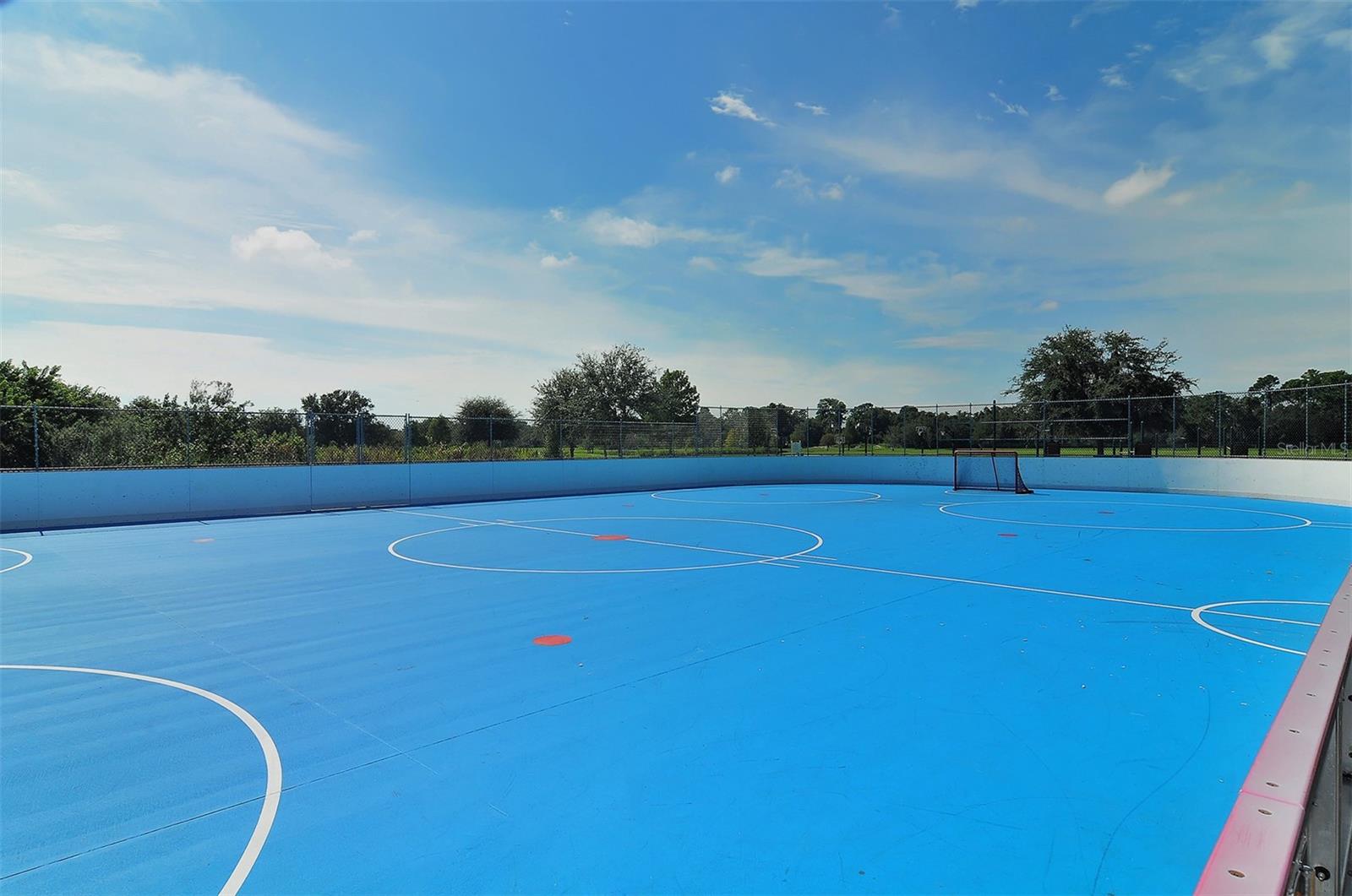 14324 SILVER TROUT DR, LAKEWOOD RANCH, FL, 34202