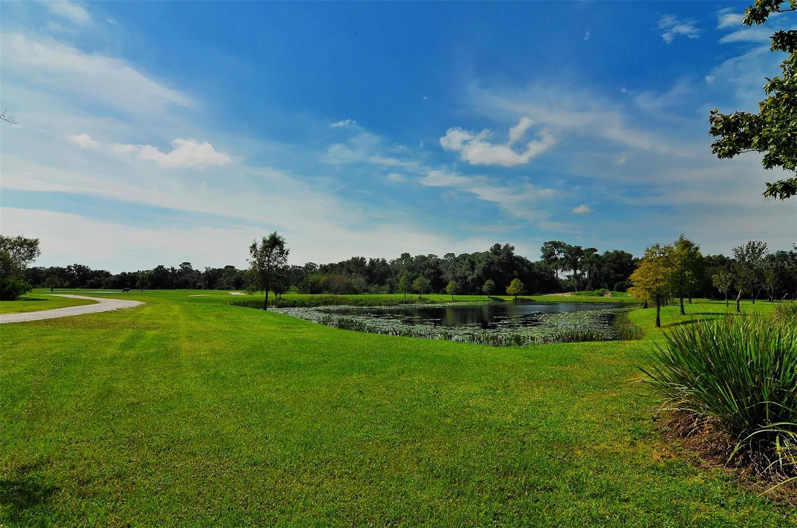 14324 SILVER TROUT DR, LAKEWOOD RANCH, FL, 34202