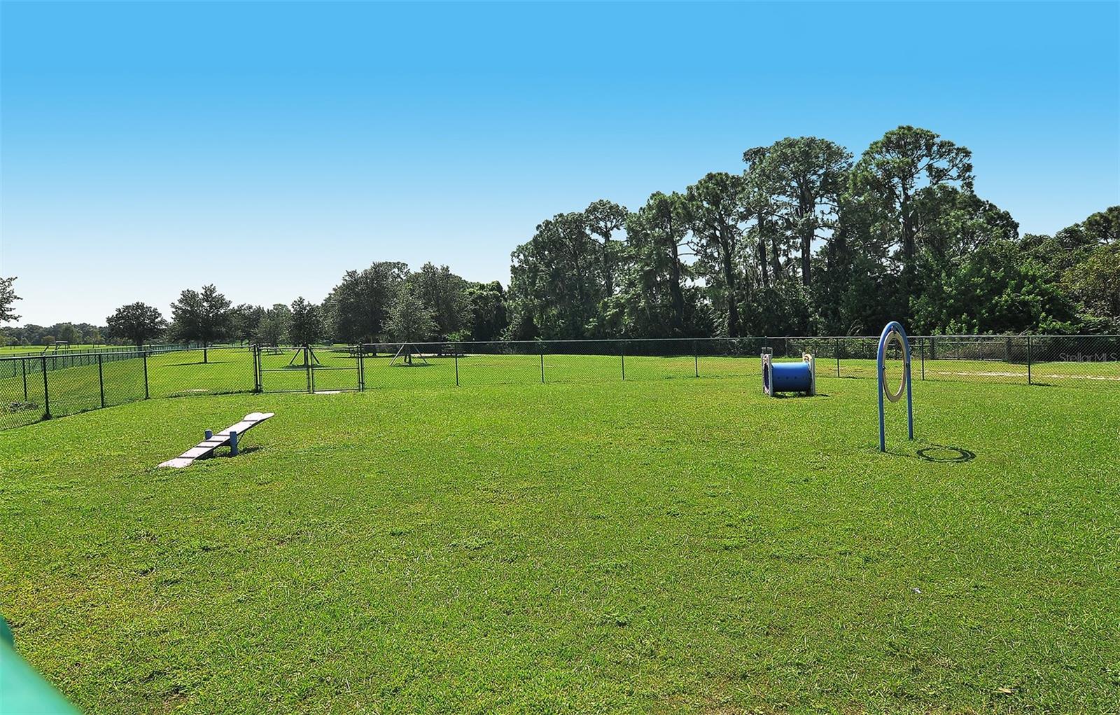 14324 SILVER TROUT DR, LAKEWOOD RANCH, FL, 34202