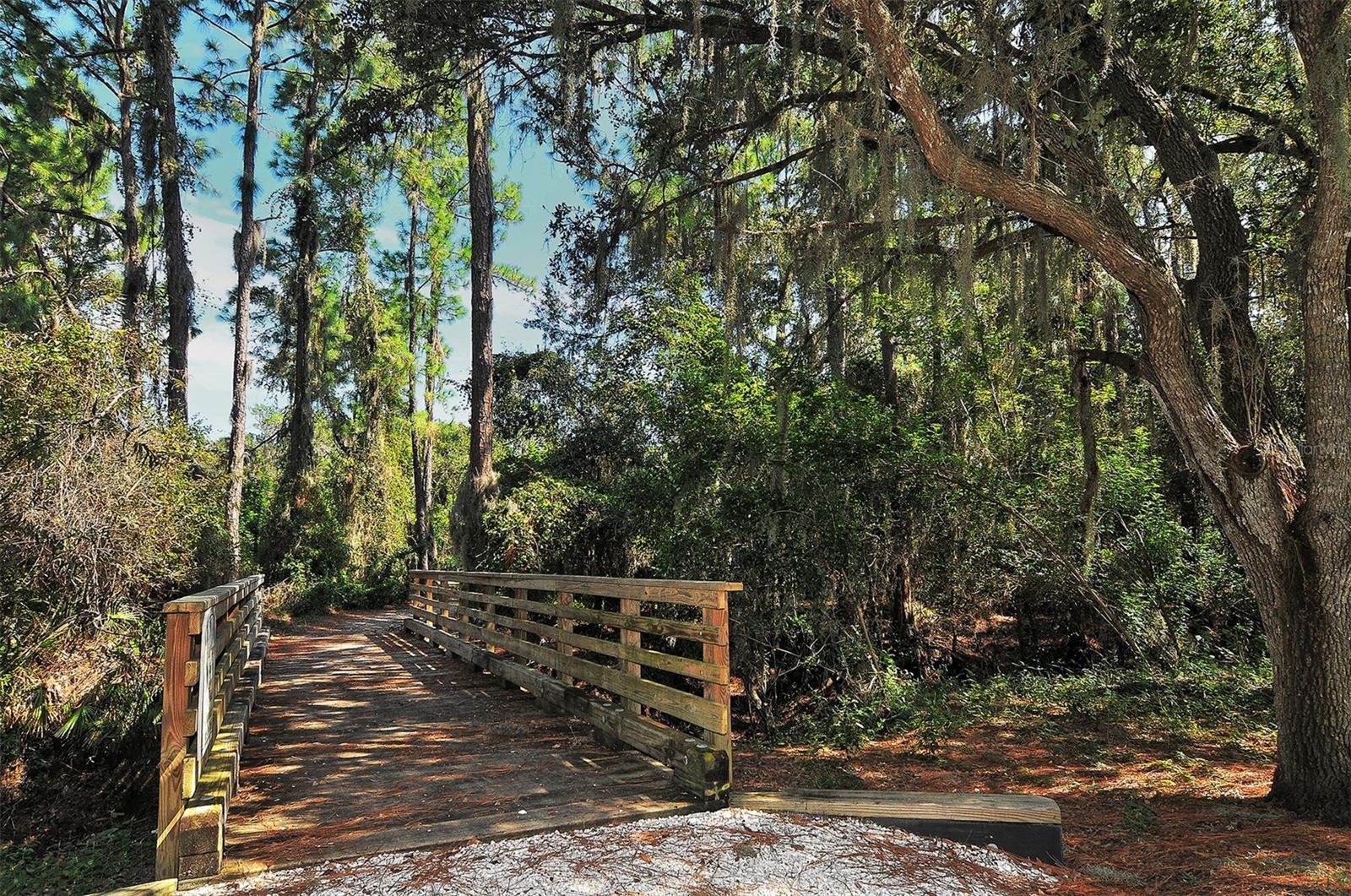 14324 SILVER TROUT DR, LAKEWOOD RANCH, FL, 34202