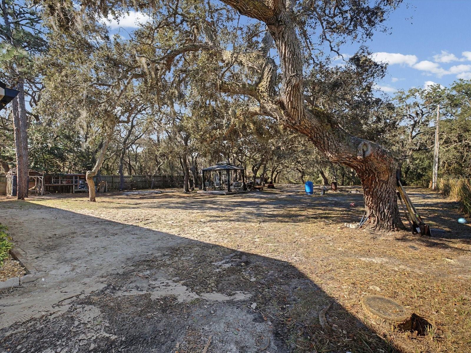 18223 OZARK DR, HUDSON, FL, 34667