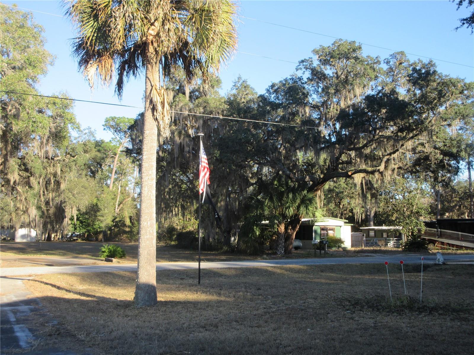 1984 SE 171ST CT, SILVER SPRINGS, FL, 34488