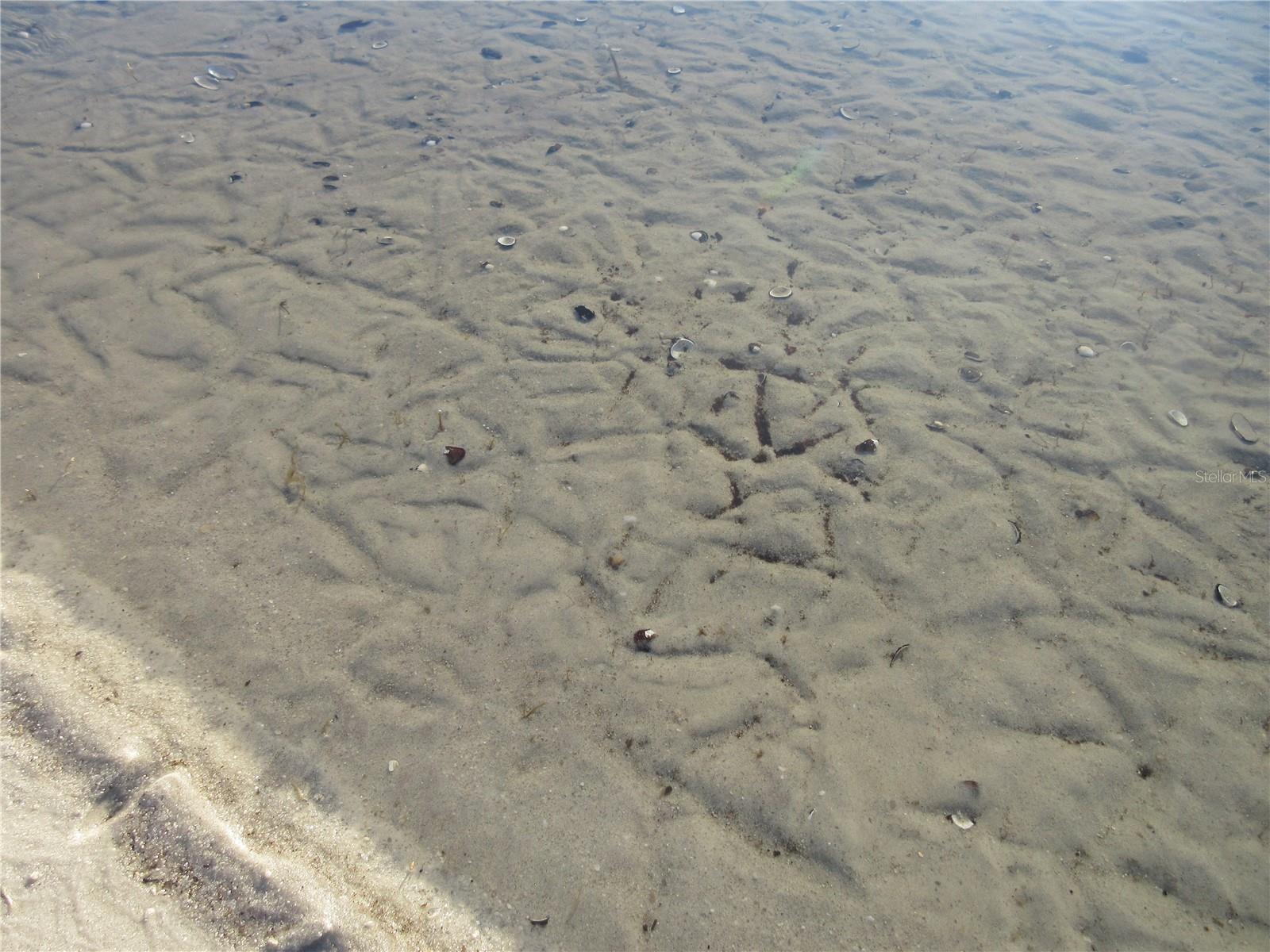 1984 SE 171ST CT, SILVER SPRINGS, FL, 34488