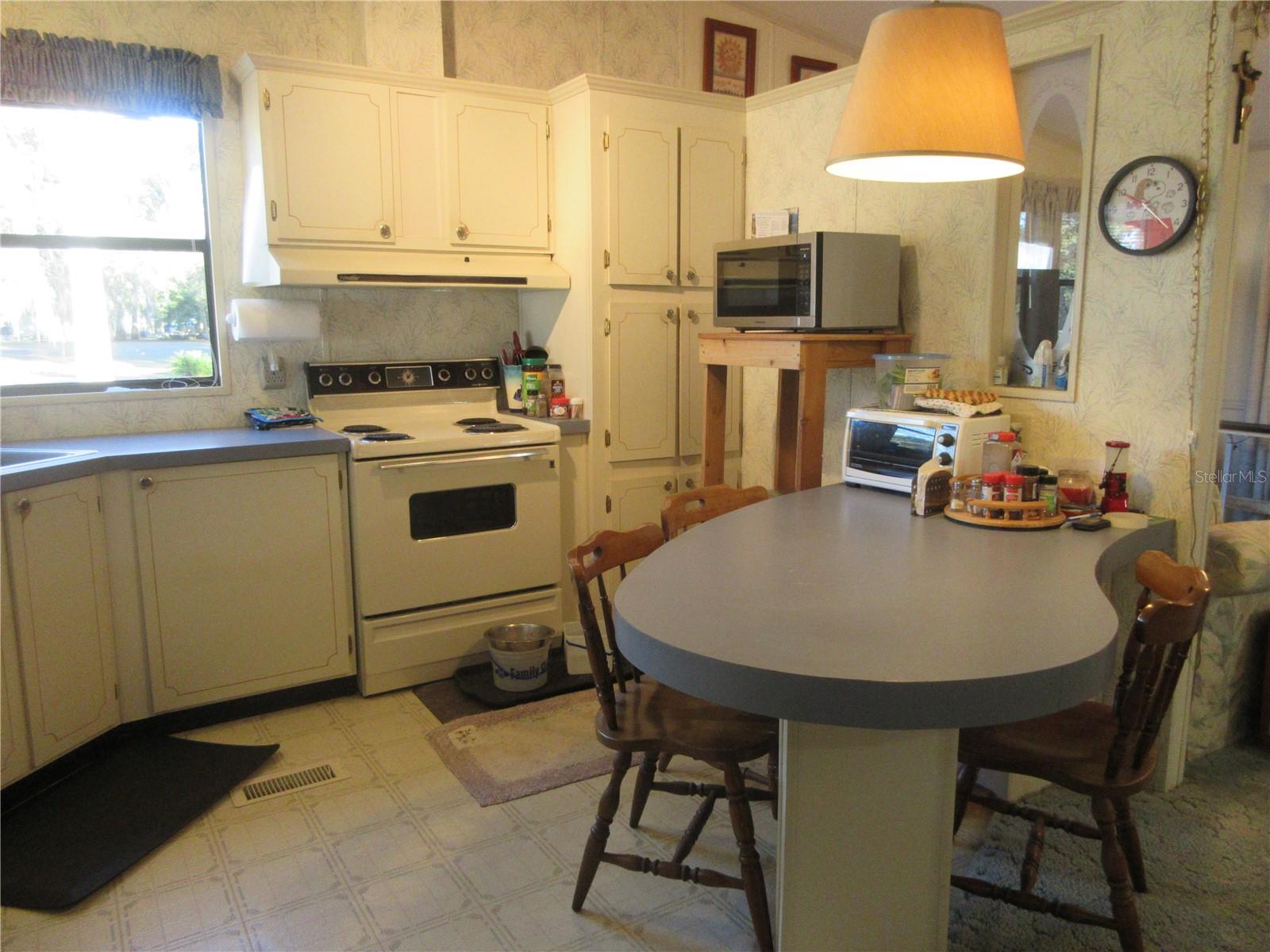 1984 SE 171ST CT, SILVER SPRINGS, FL, 34488