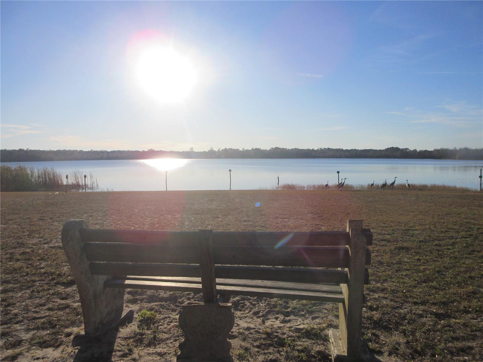 1984 SE 171ST CT, SILVER SPRINGS, FL, 34488