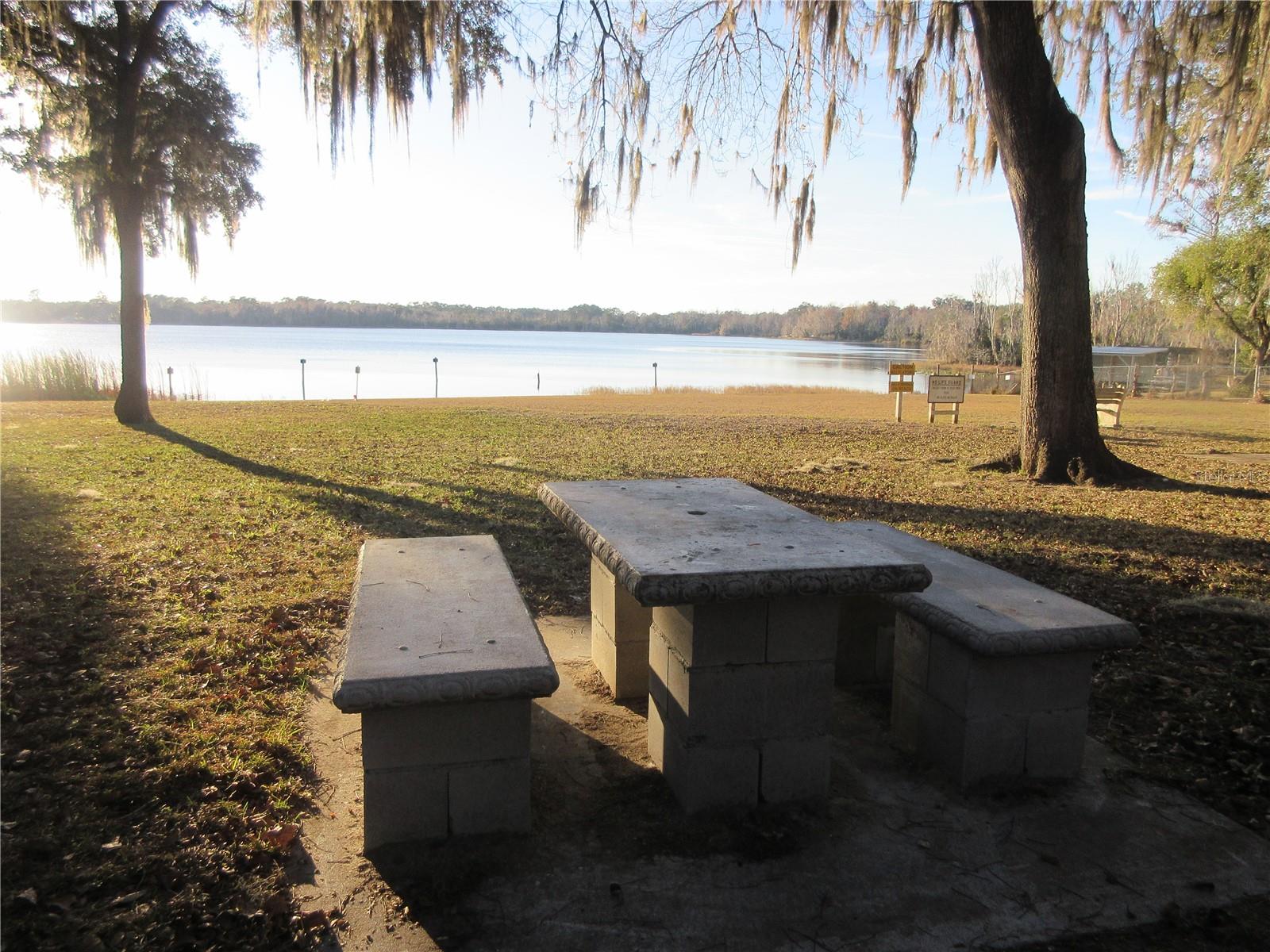 1984 SE 171ST CT, SILVER SPRINGS, FL, 34488