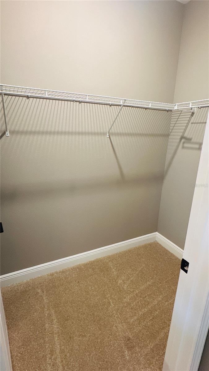 16450 HAMLIN VIEW ST, WINTER GARDEN, FL, 34787