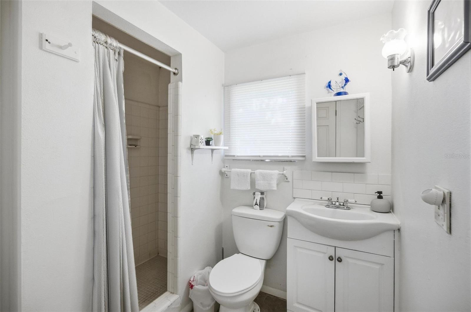 1405 S FLAGLER AVE, FLAGLER BEACH, FL, 32136