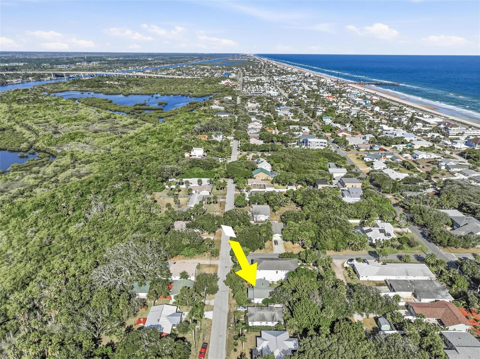 1405 S FLAGLER AVE, FLAGLER BEACH, FL, 32136