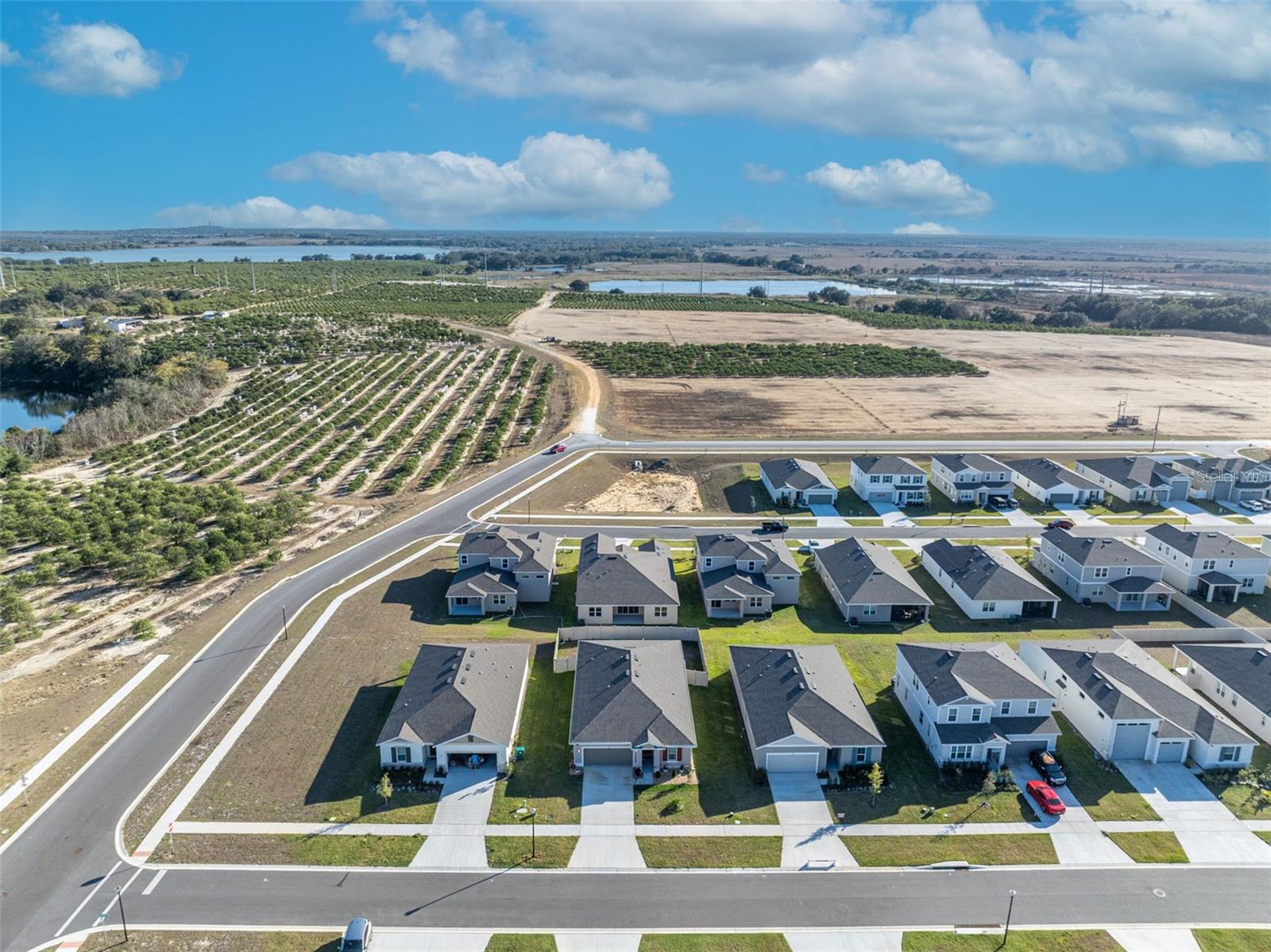 1110 OLIVINE AVE, DUNDEE, FL, 33838