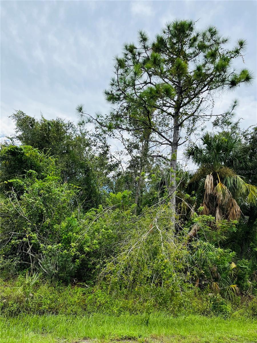 26145 FLOWER RD, PUNTA GORDA, FL, 33955