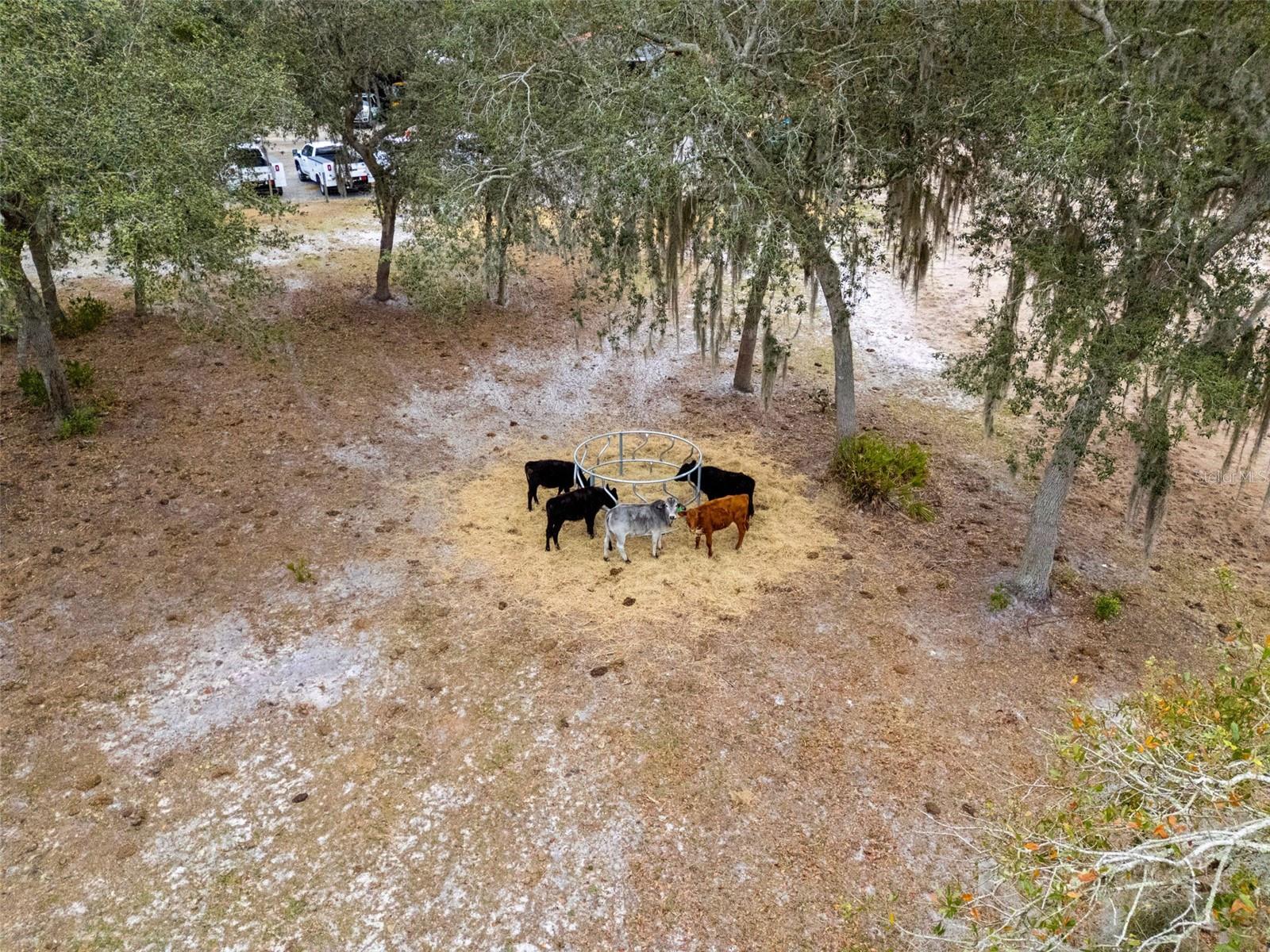 160 LUSH LN, DELTONA, FL, 32738