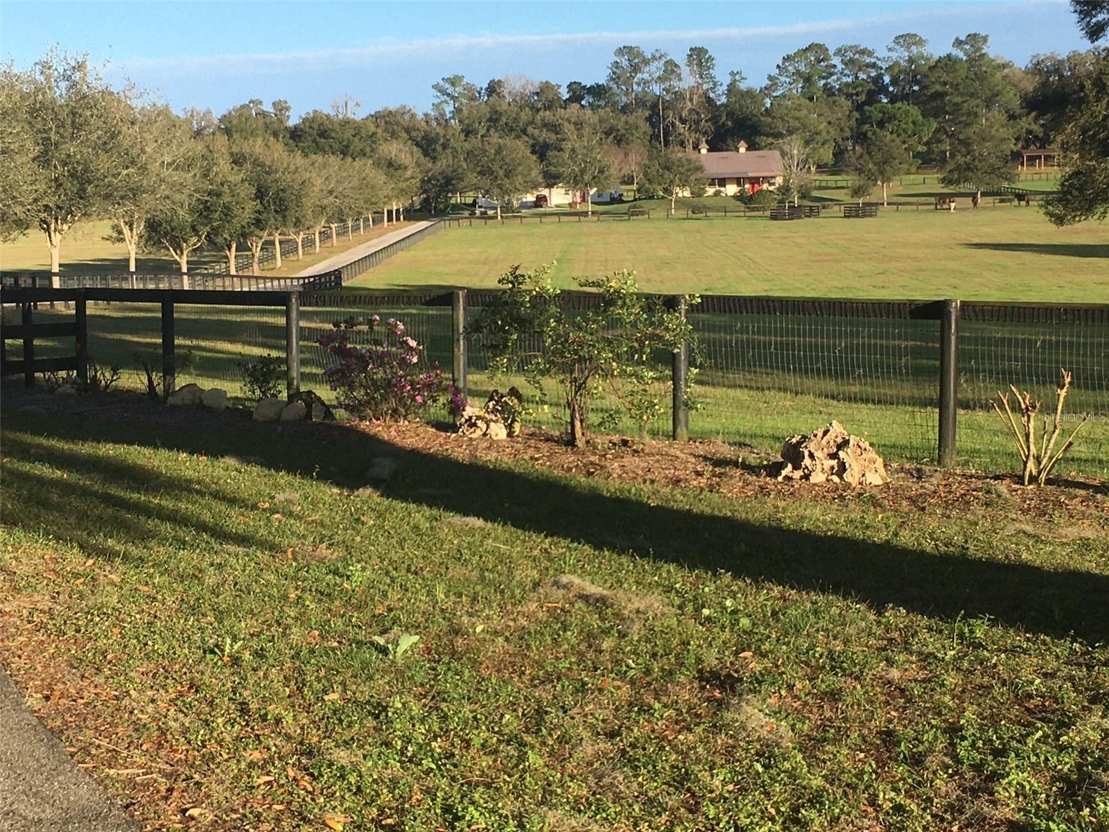 OM717931 Property Photo