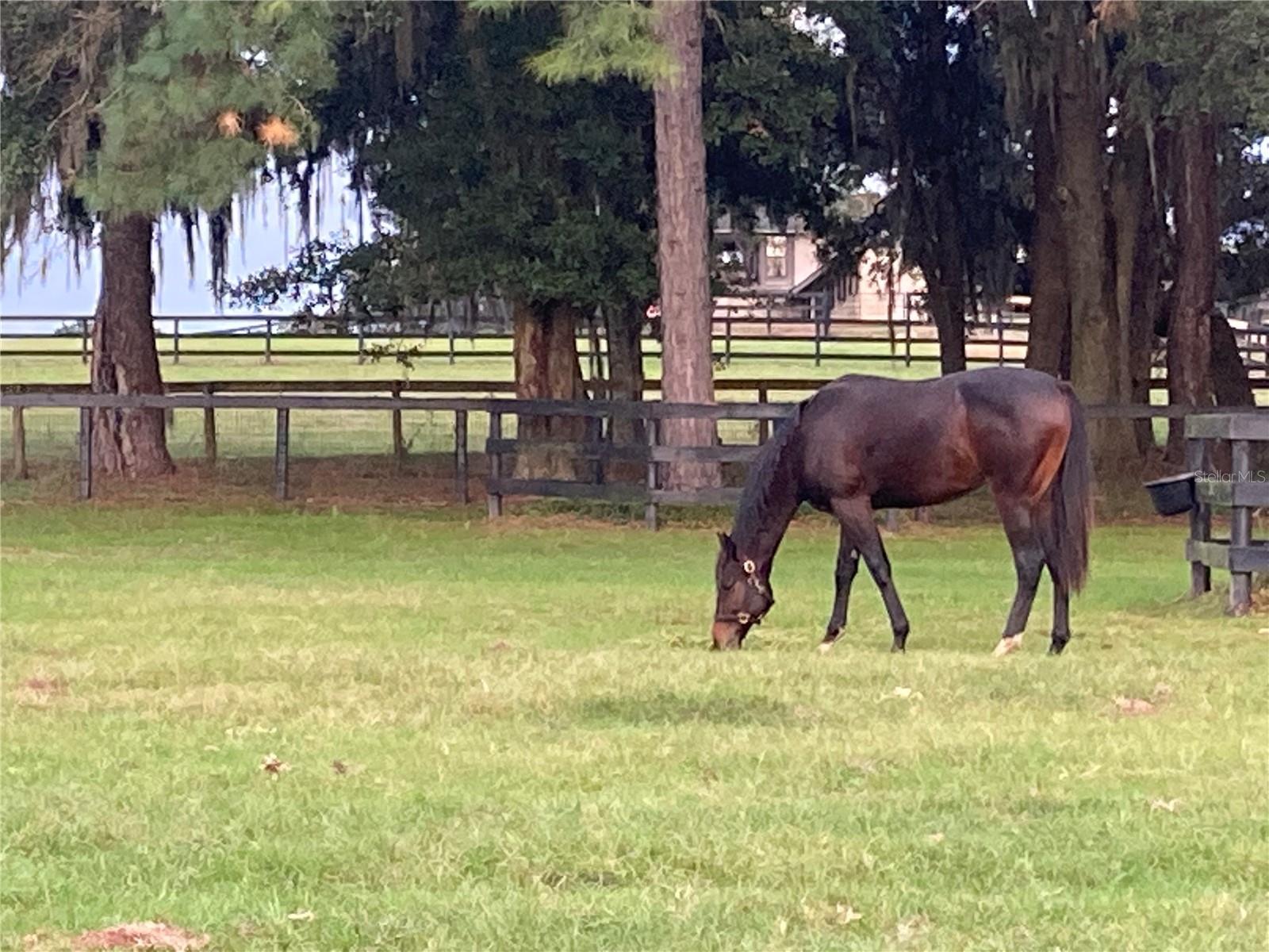 OM717931 Property Photo