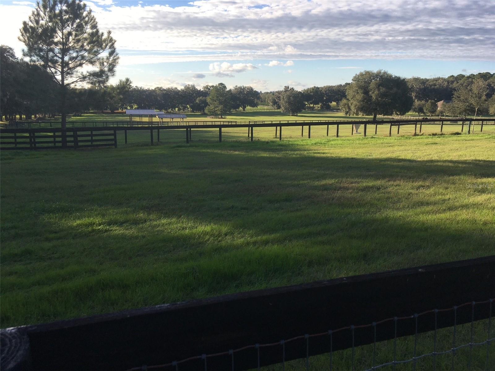 OM717931 Property Photo