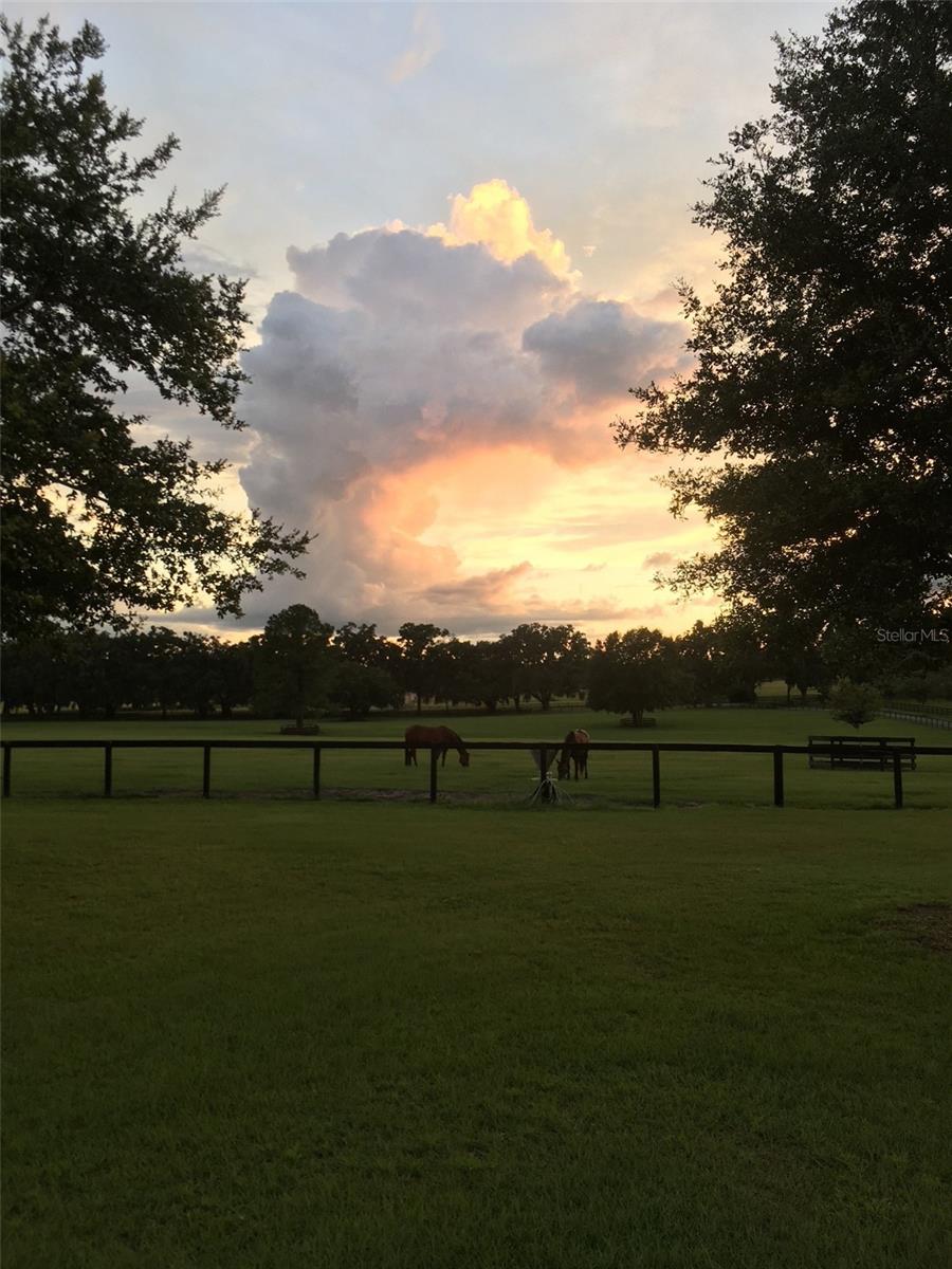 OM717931 Property Photo