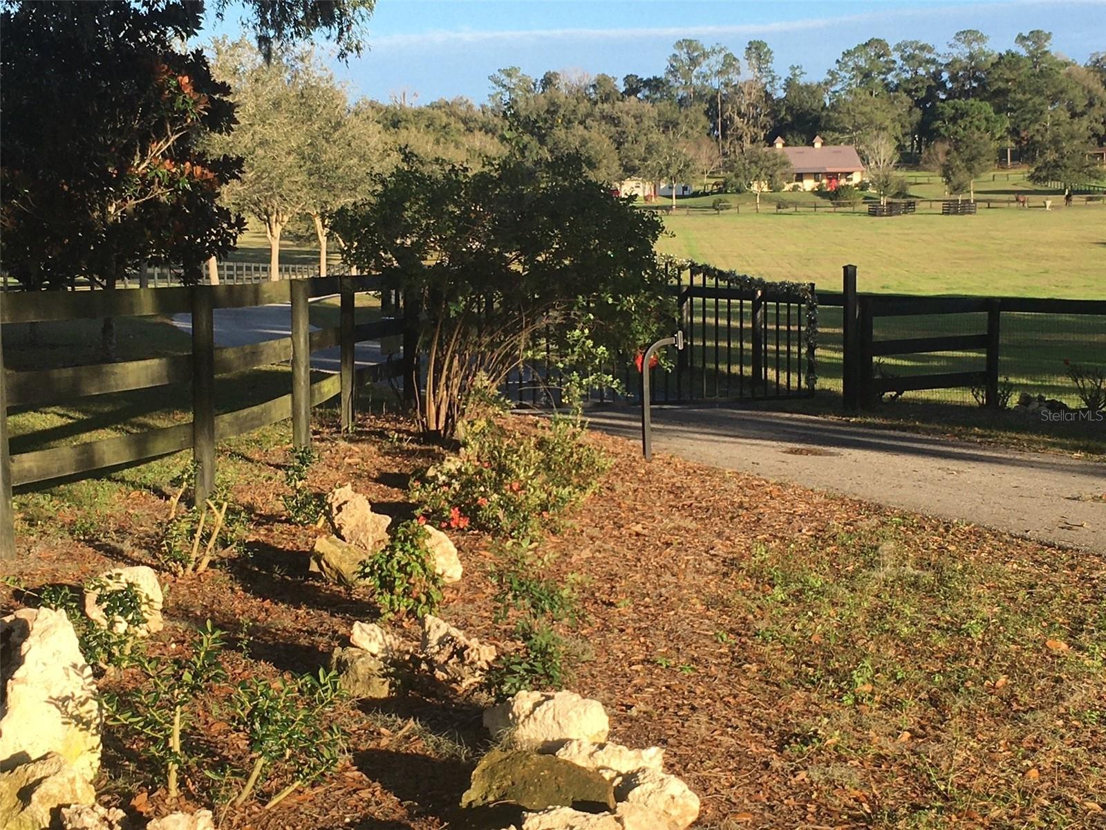 OM717931 Property Photo