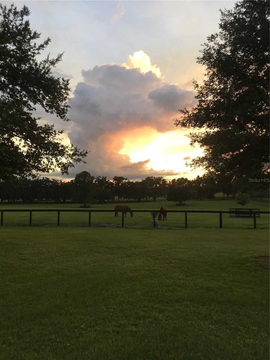 OM717931 Property Photo