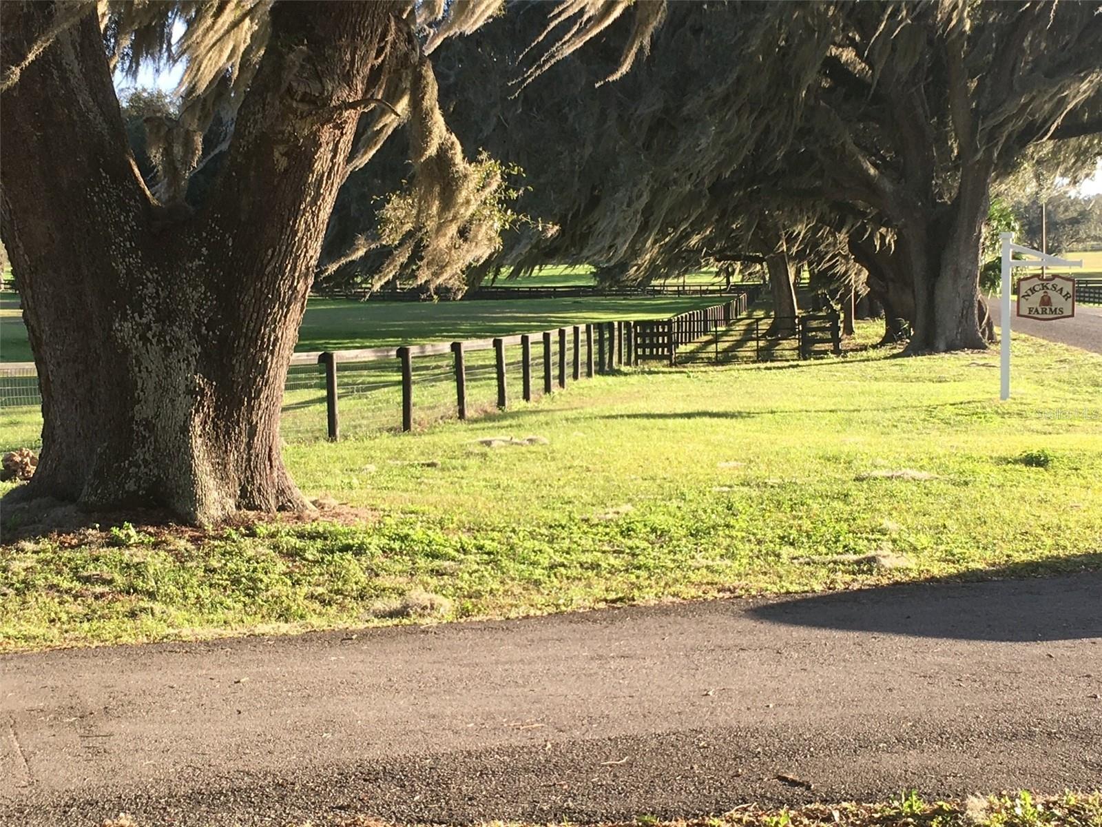 OM717931 Property Photo