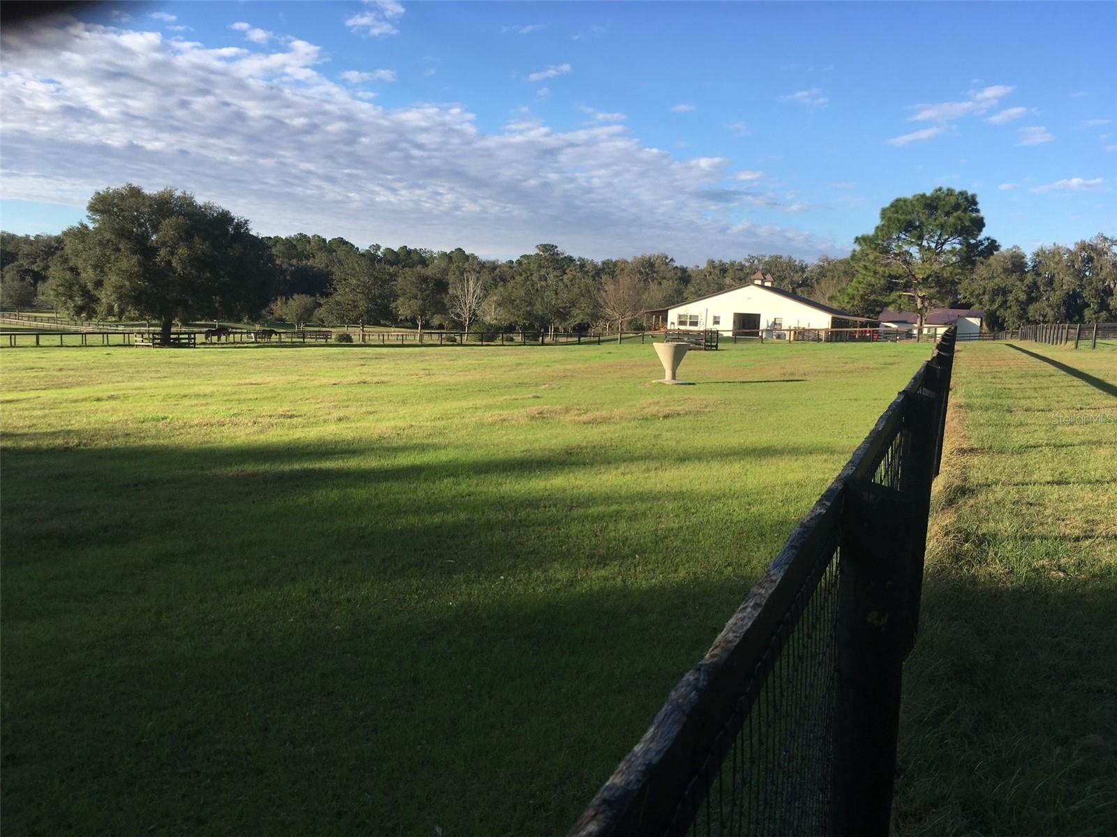 OM717931 Property Photo