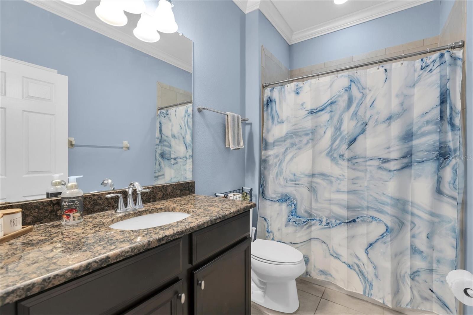 10223 CARAWAY SPICE AVE, RIVERVIEW, FL, 33578