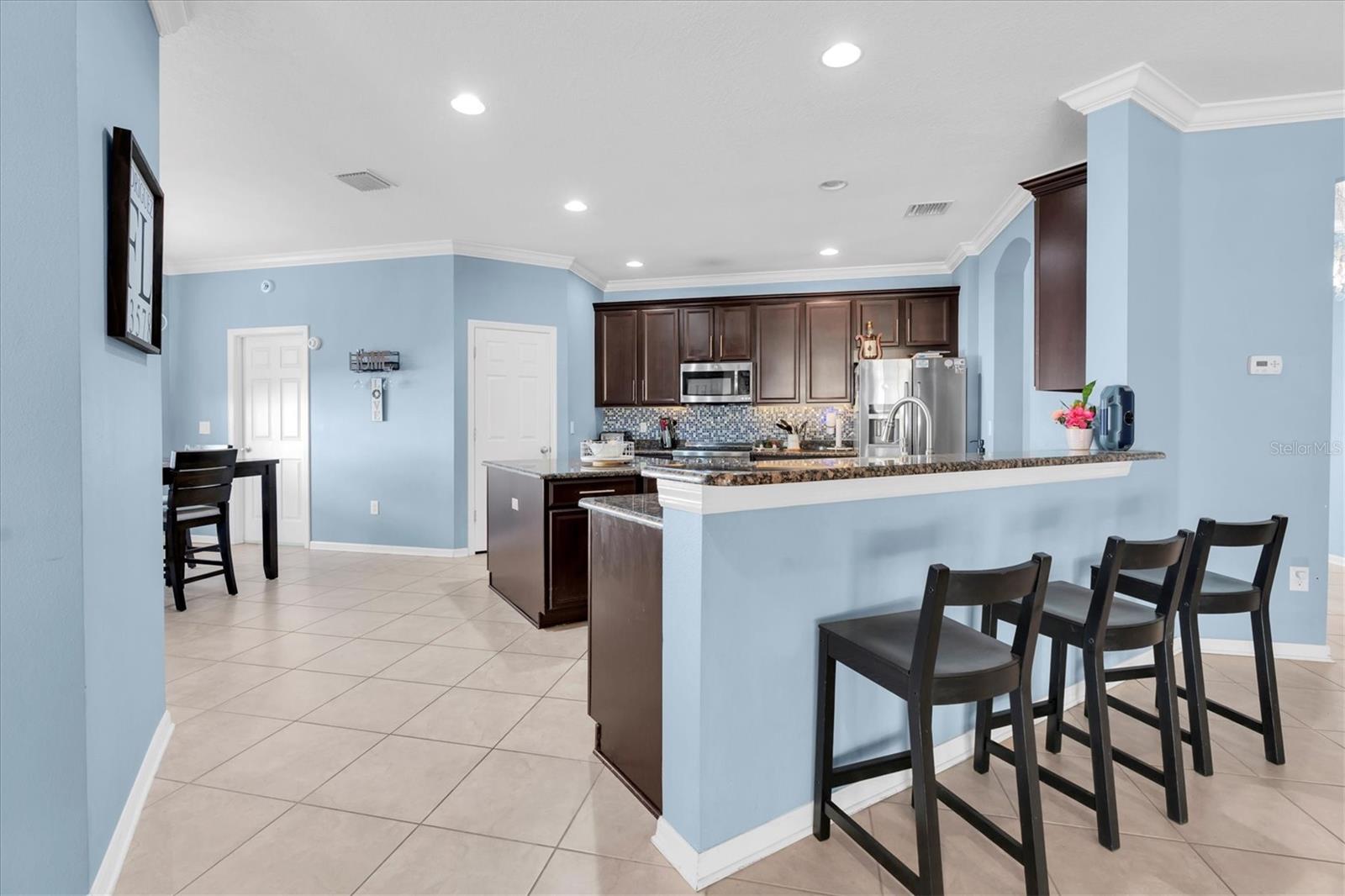 10223 CARAWAY SPICE AVE, RIVERVIEW, FL, 33578