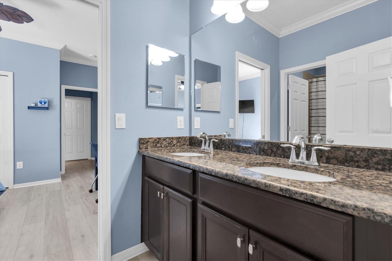 10223 CARAWAY SPICE AVE, RIVERVIEW, FL, 33578