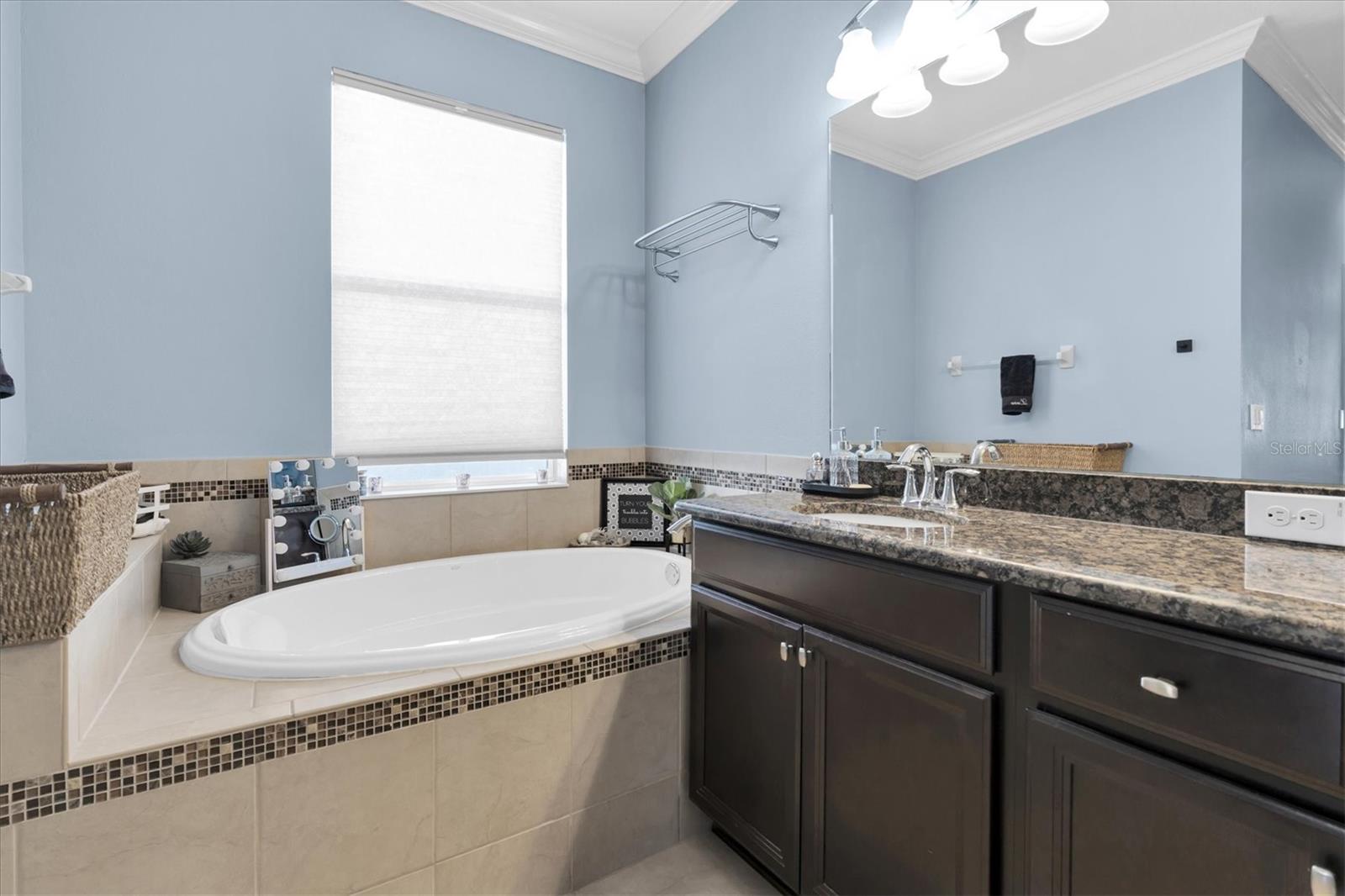 10223 CARAWAY SPICE AVE, RIVERVIEW, FL, 33578