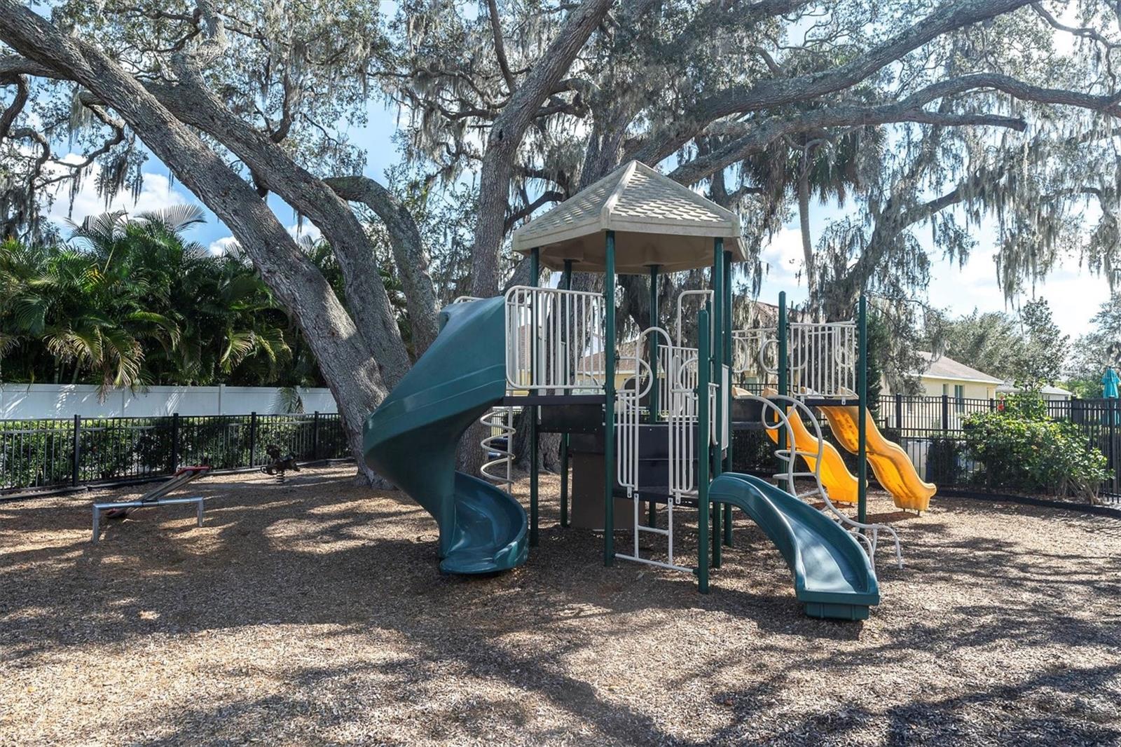 10223 CARAWAY SPICE AVE, RIVERVIEW, FL, 33578