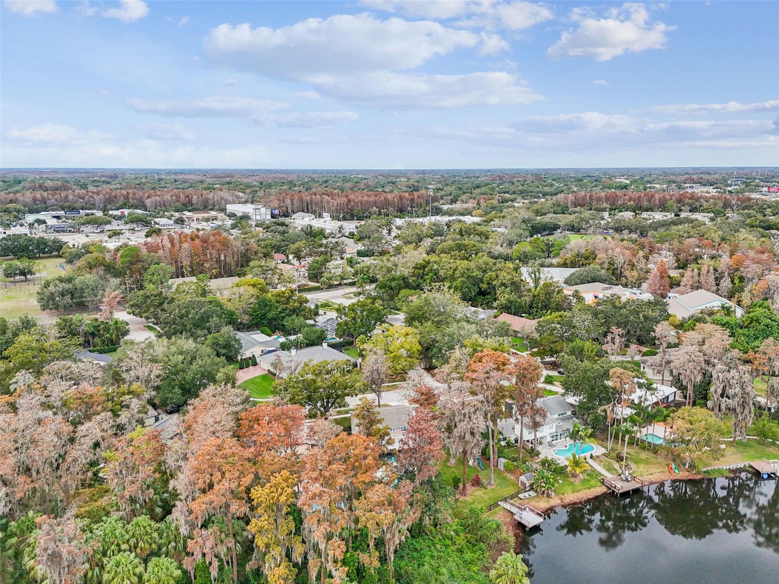 11713 PHOENIX CIR, TAMPA, FL, 33618