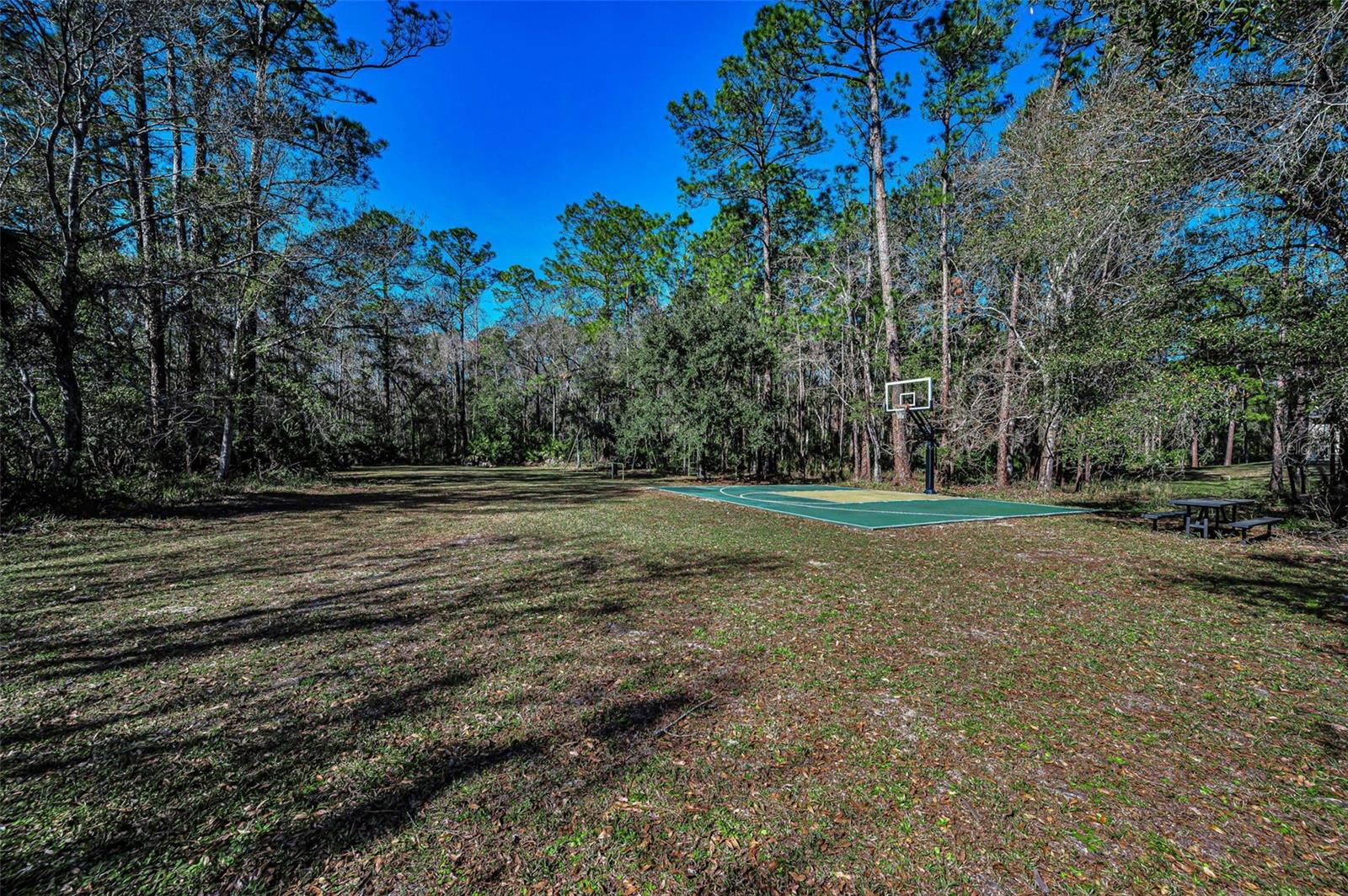 10709 WATULA CT, NEW PORT RICHEY, FL, 34655