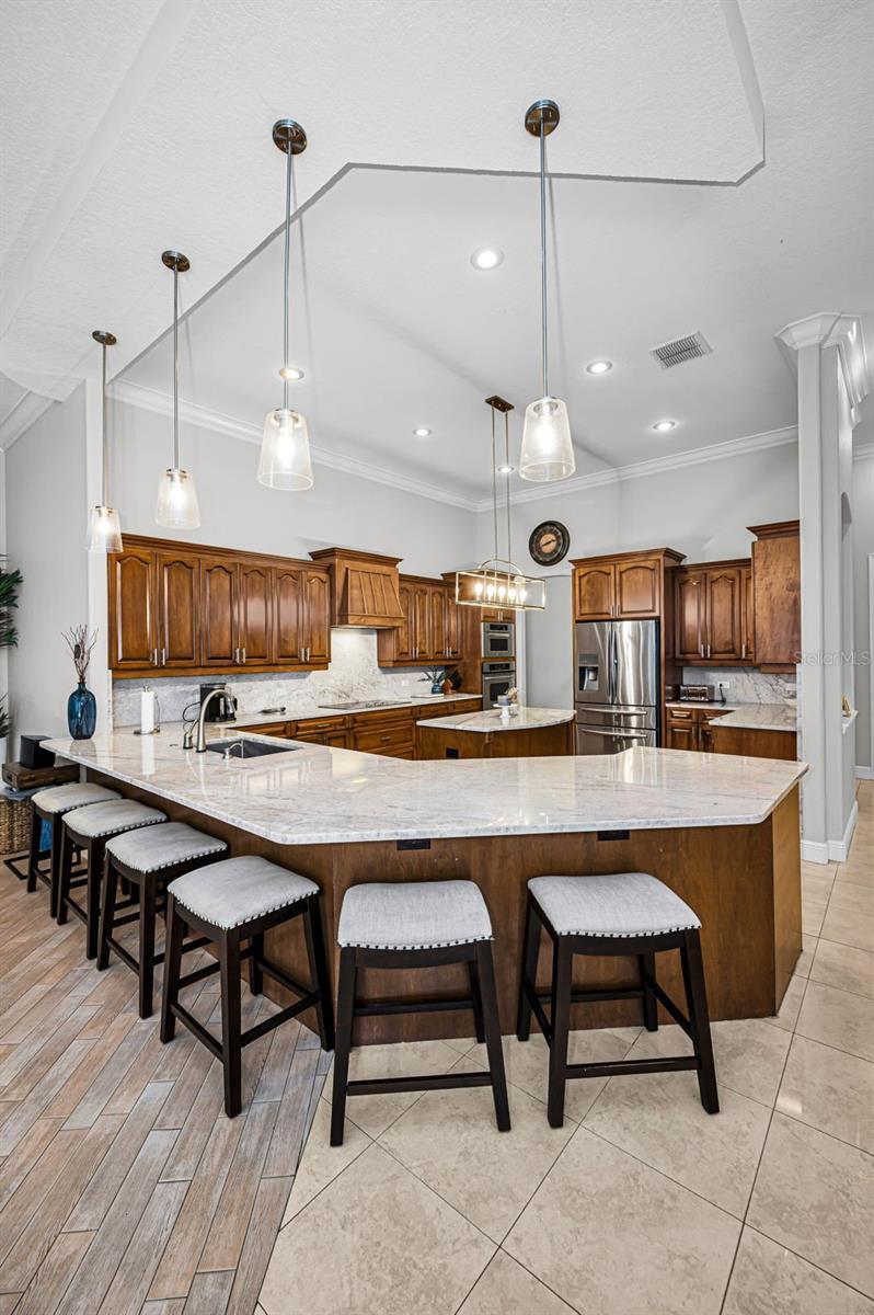 10709 WATULA CT, NEW PORT RICHEY, FL, 34655