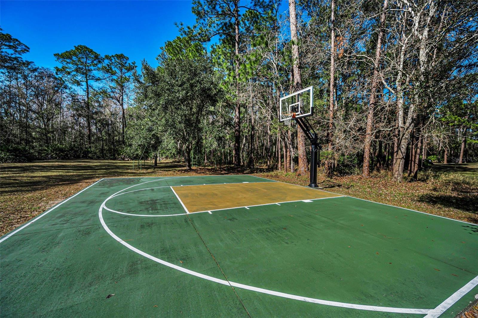 10709 WATULA CT, NEW PORT RICHEY, FL, 34655