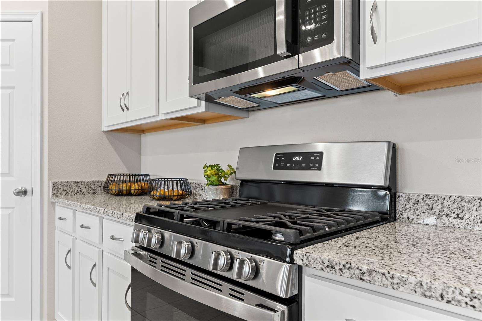 3412 SALVIA CT, TAVARES, FL, 32778