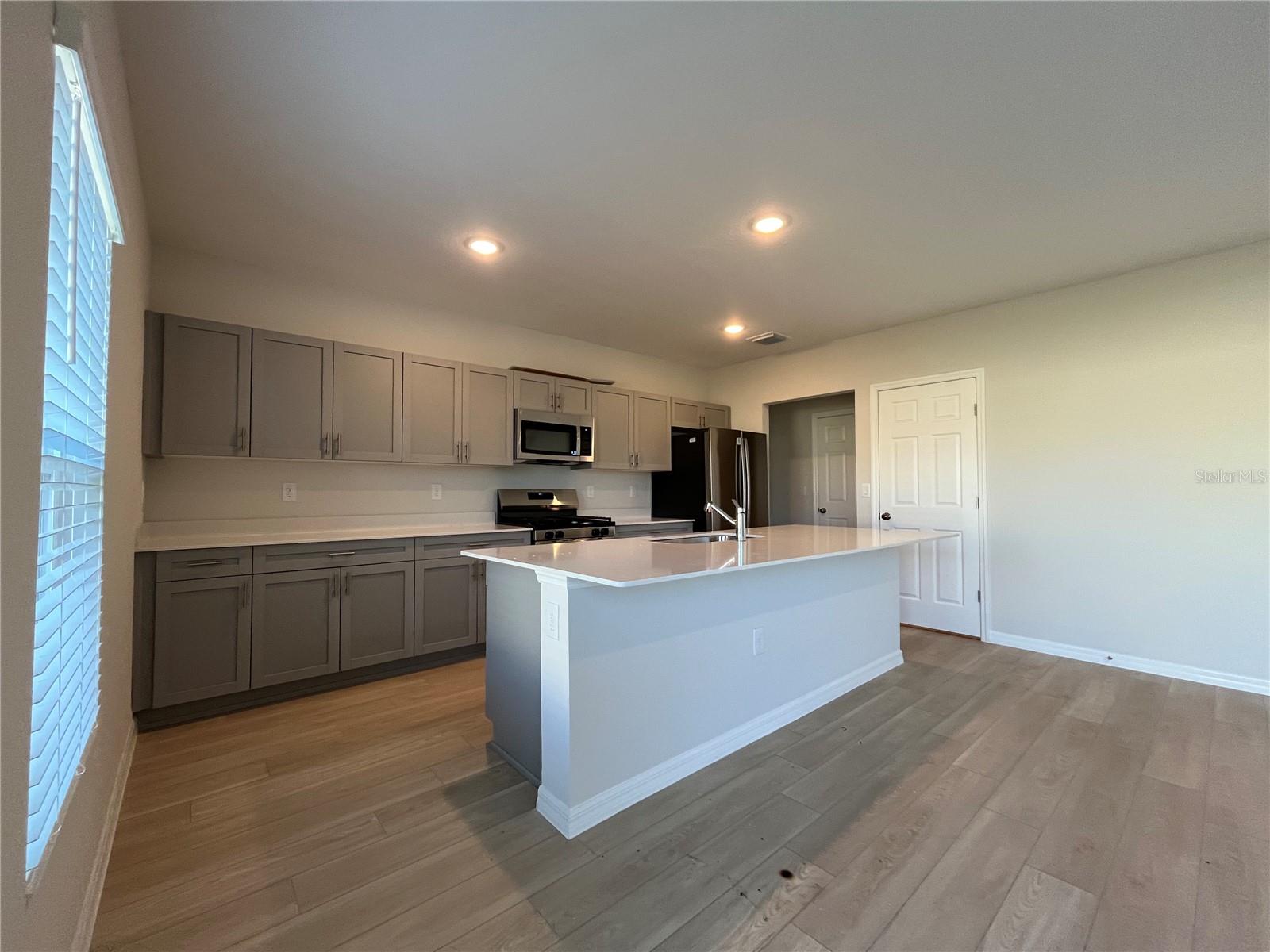 14789 SUMMER BRANCH DR, LITHIA, FL, 33547