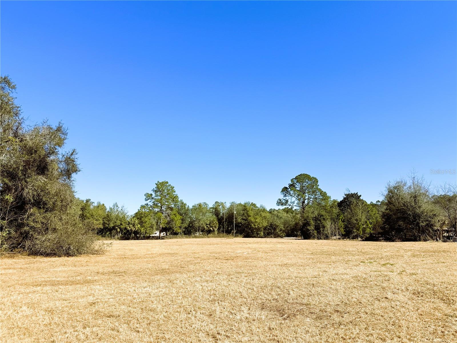 7400 NE 199TH STREET RD, CITRA, FL, 32113