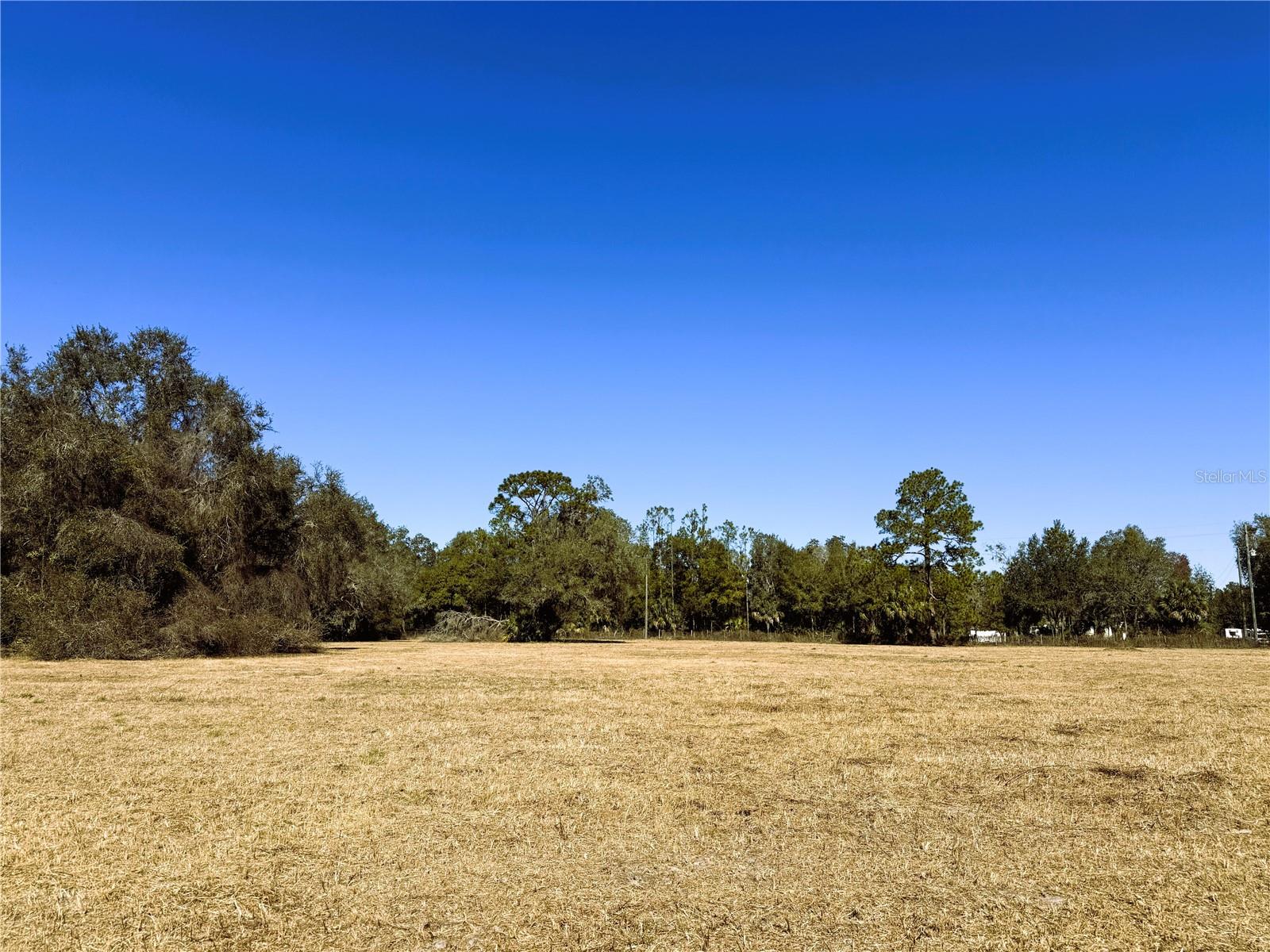 7400 NE 199TH STREET RD, CITRA, FL, 32113