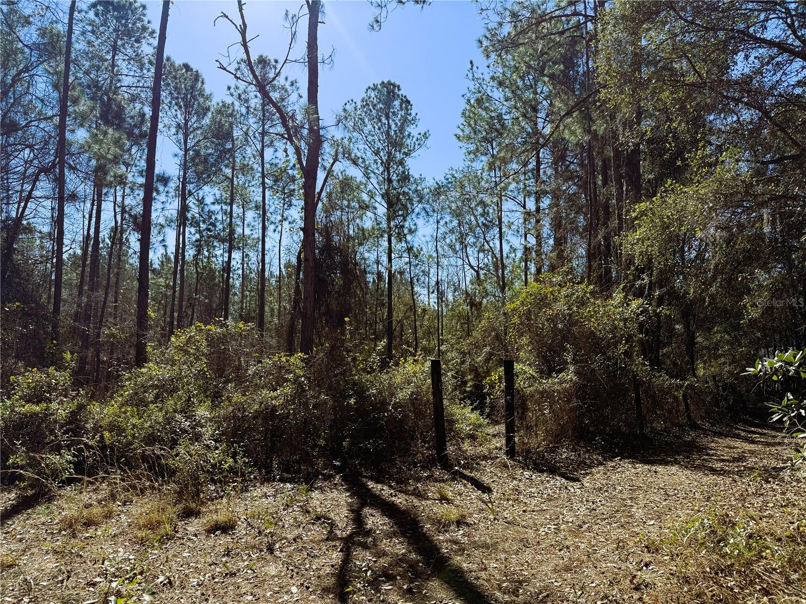 7400 NE 199TH STREET RD, CITRA, FL, 32113