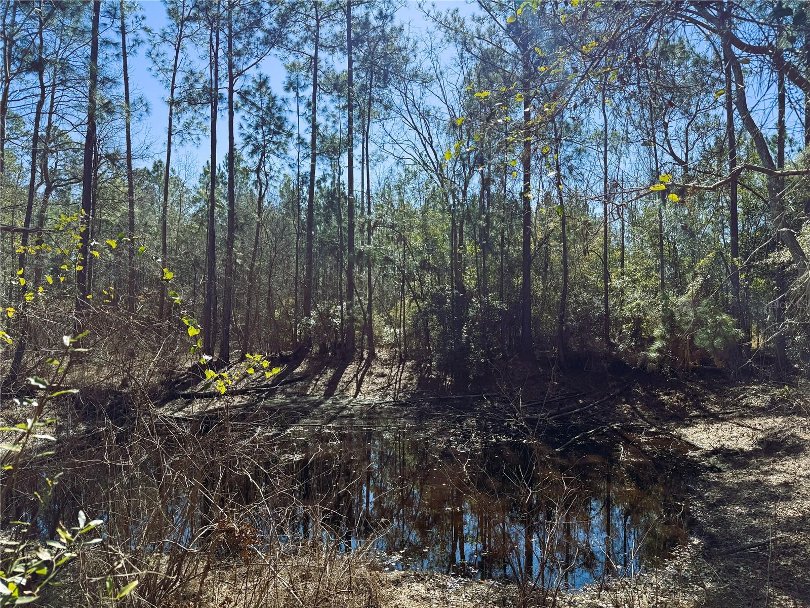 7400 NE 199TH STREET RD, CITRA, FL, 32113