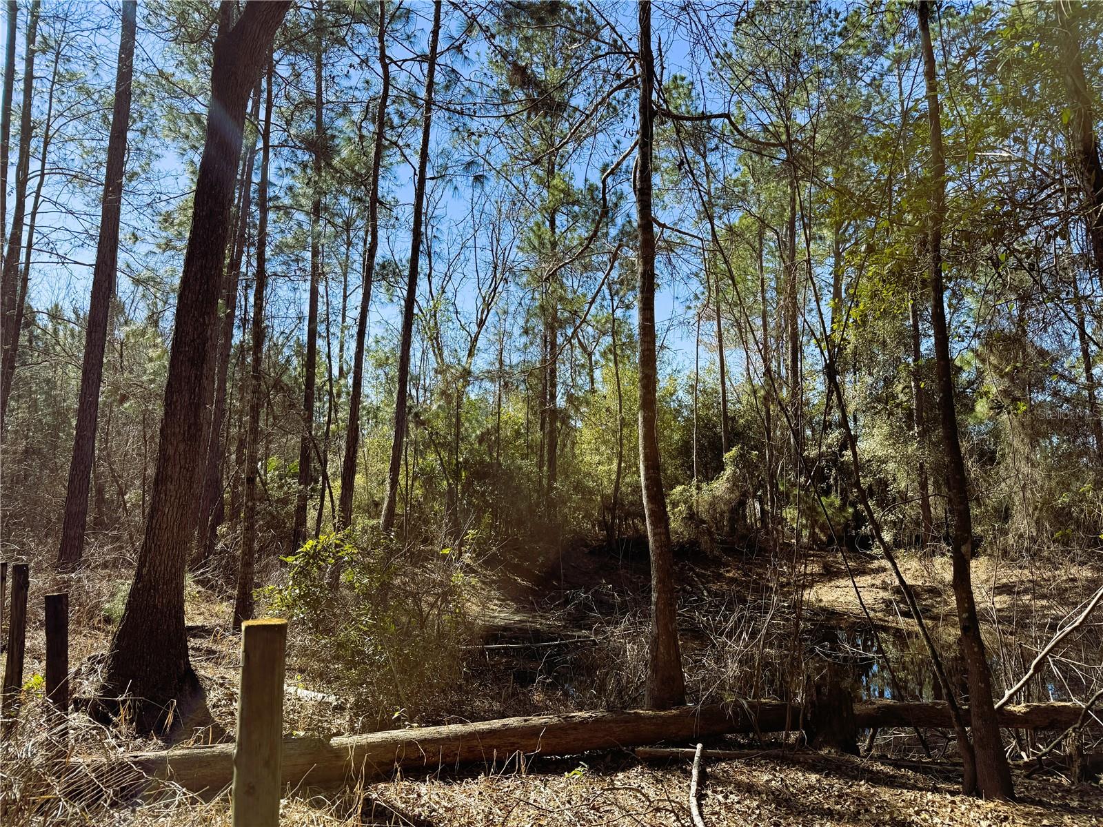 7400 NE 199TH STREET RD, CITRA, FL, 32113