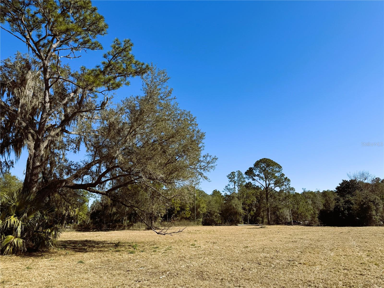 7400 NE 199TH STREET RD, CITRA, FL, 32113