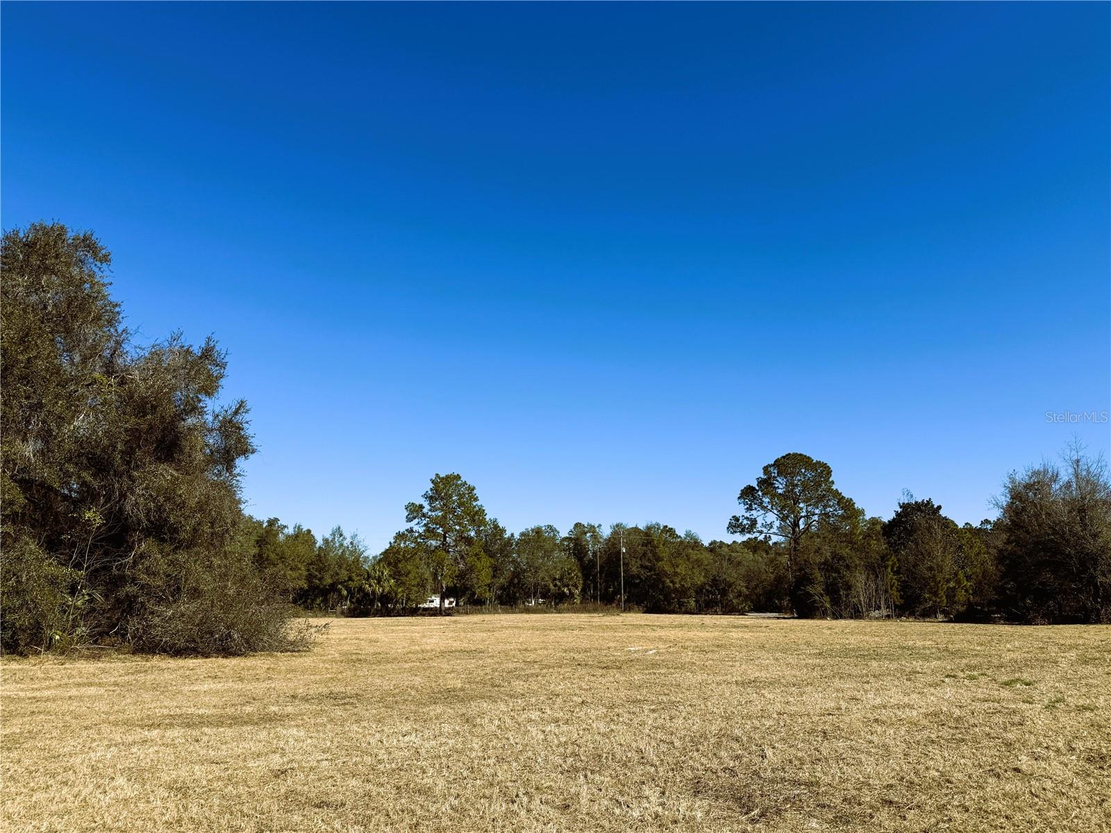 7400 NE 199TH STREET RD, CITRA, FL, 32113