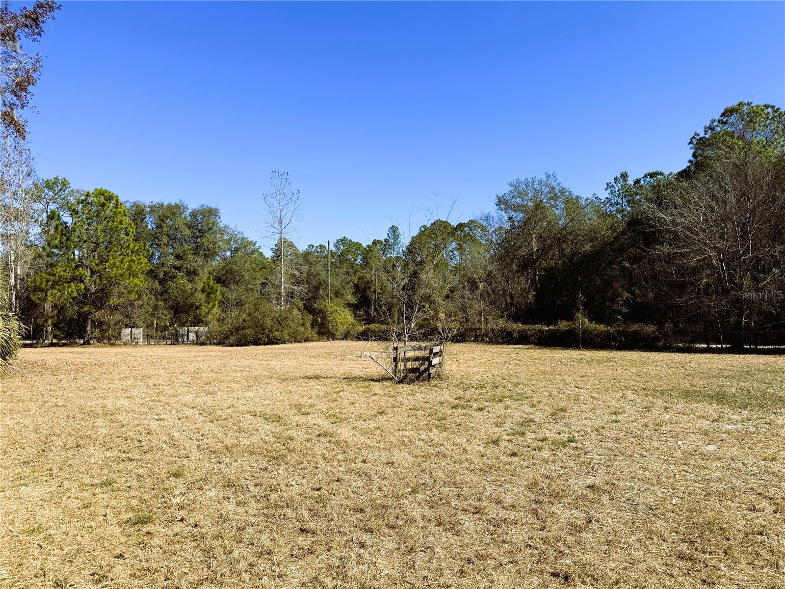 7400 NE 199TH STREET RD, CITRA, FL, 32113