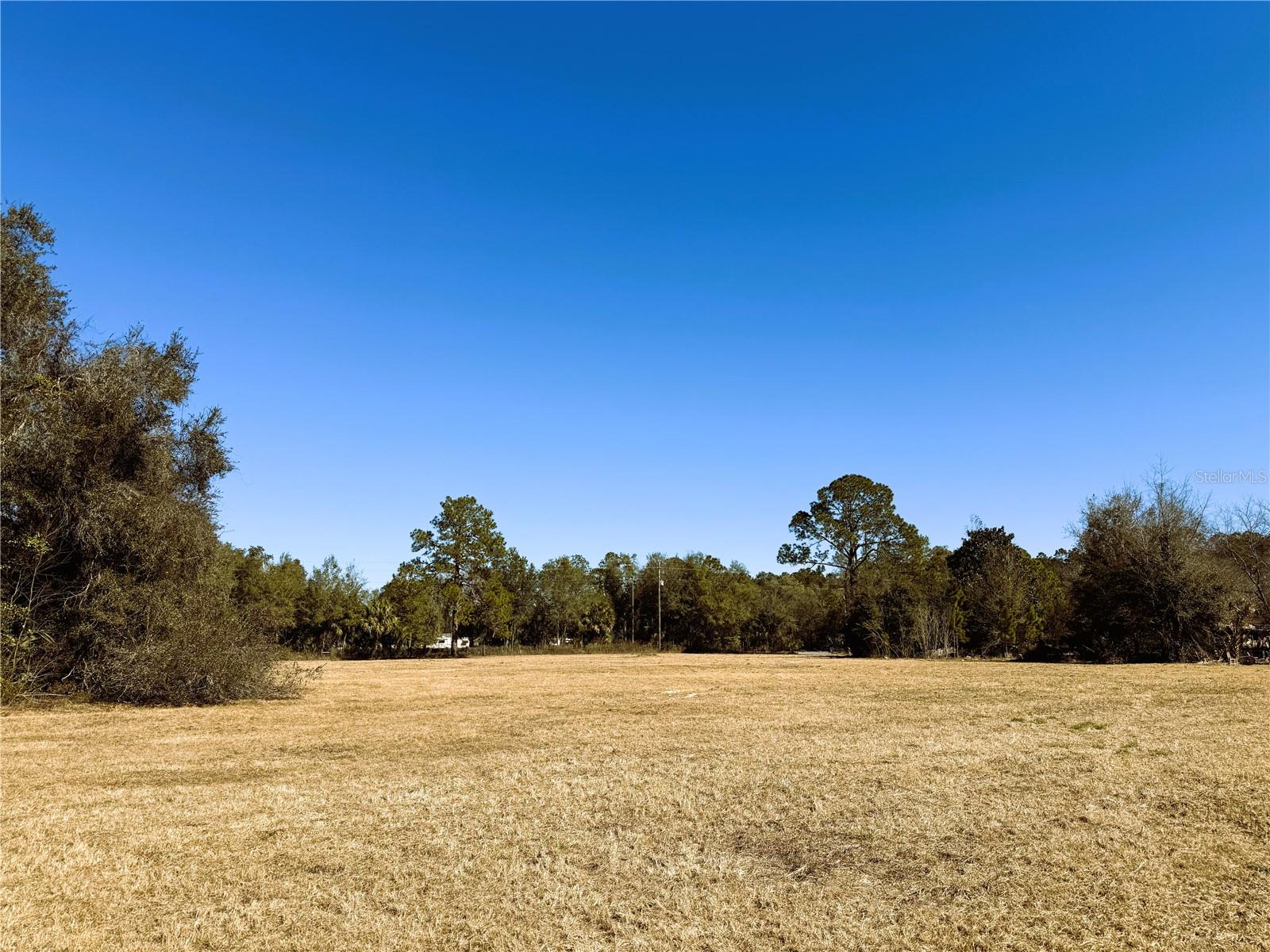 7400 NE 199TH STREET RD, CITRA, FL, 32113