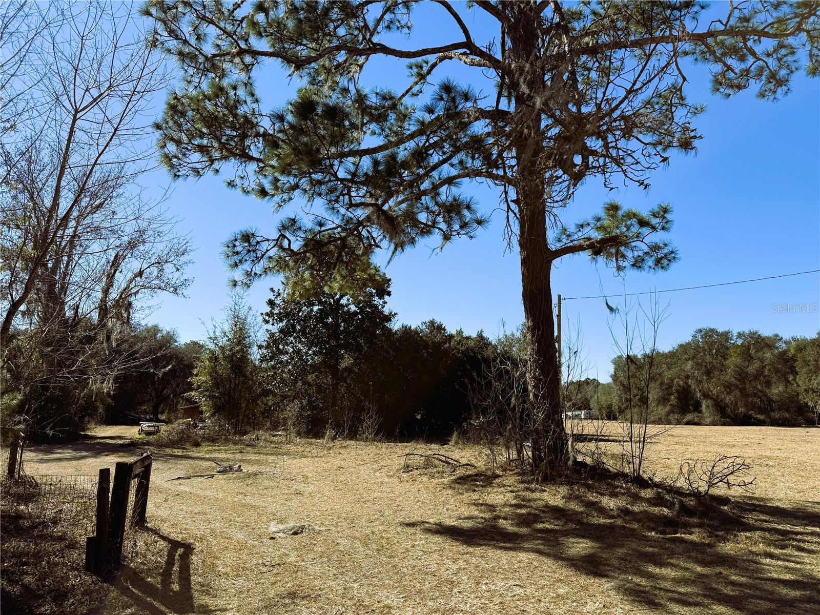 7400 NE 199TH STREET RD, CITRA, FL, 32113