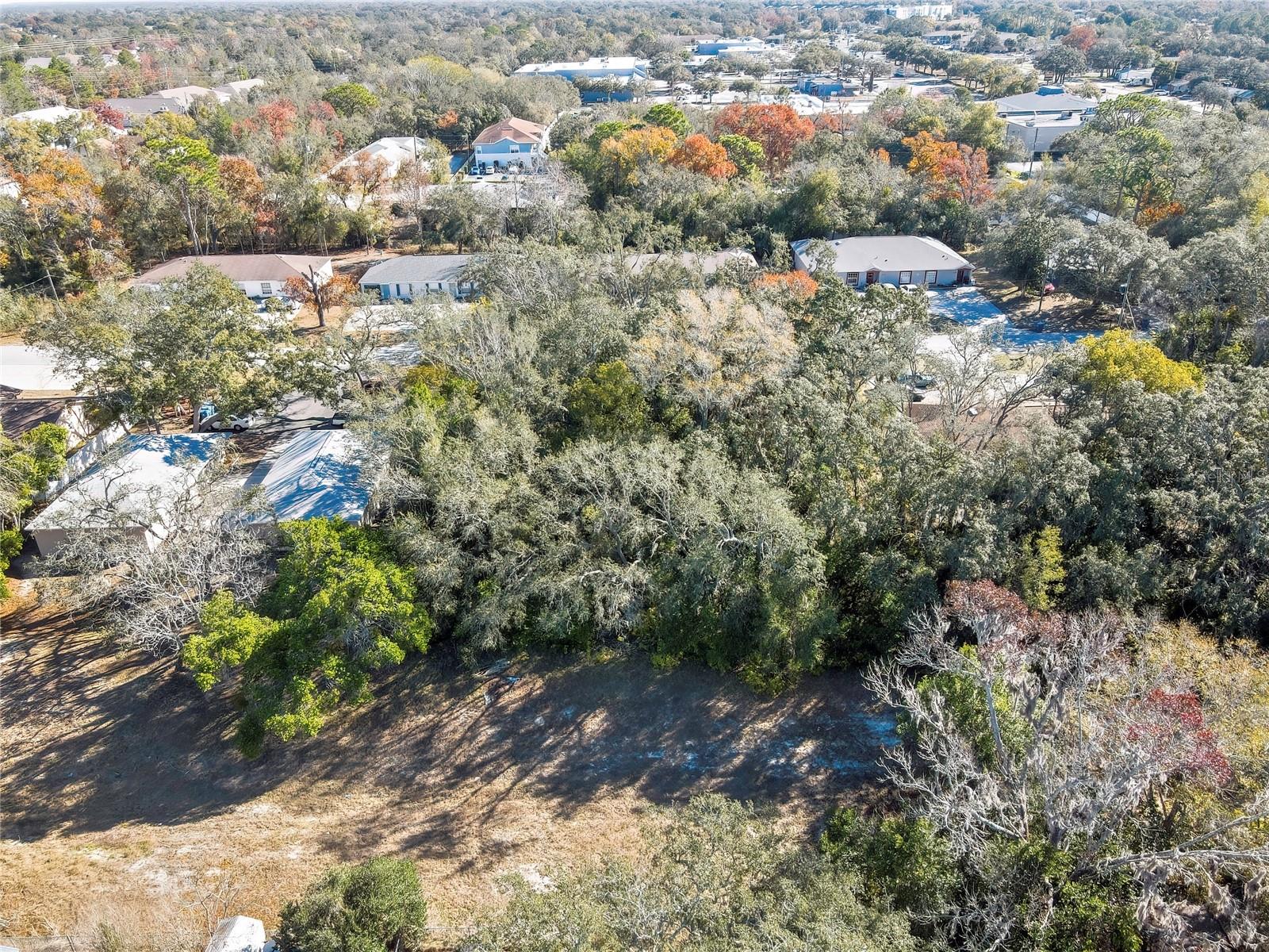 1241 SYLVIA AVE, SPRING HILL, FL, 34606