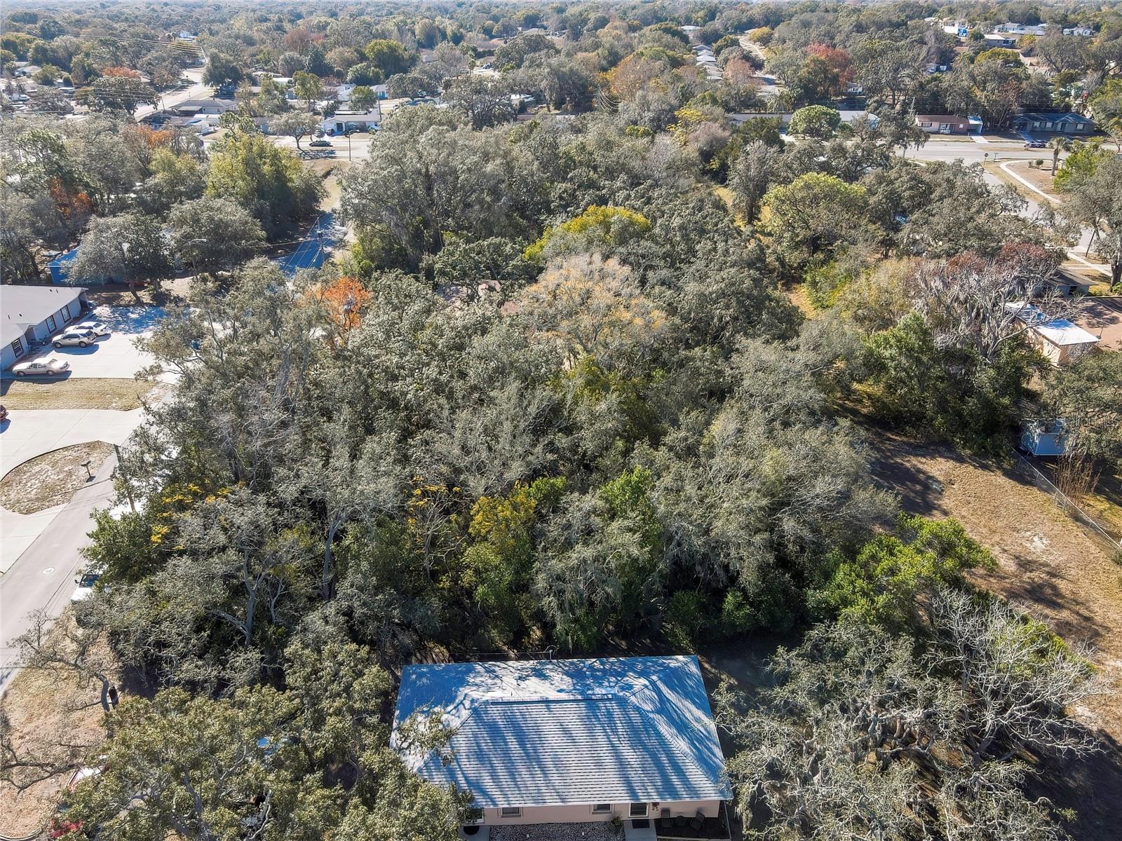 1241 SYLVIA AVE, SPRING HILL, FL, 34606